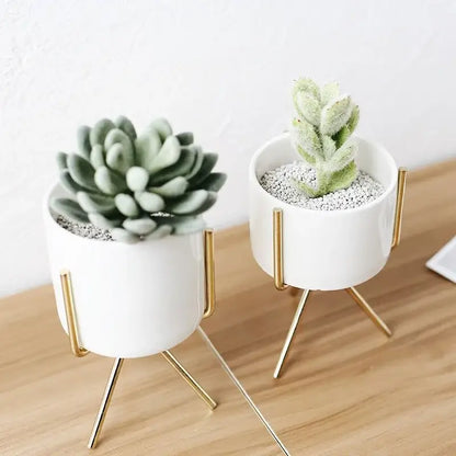 Nordic-inspired vase for home and office plant decoration