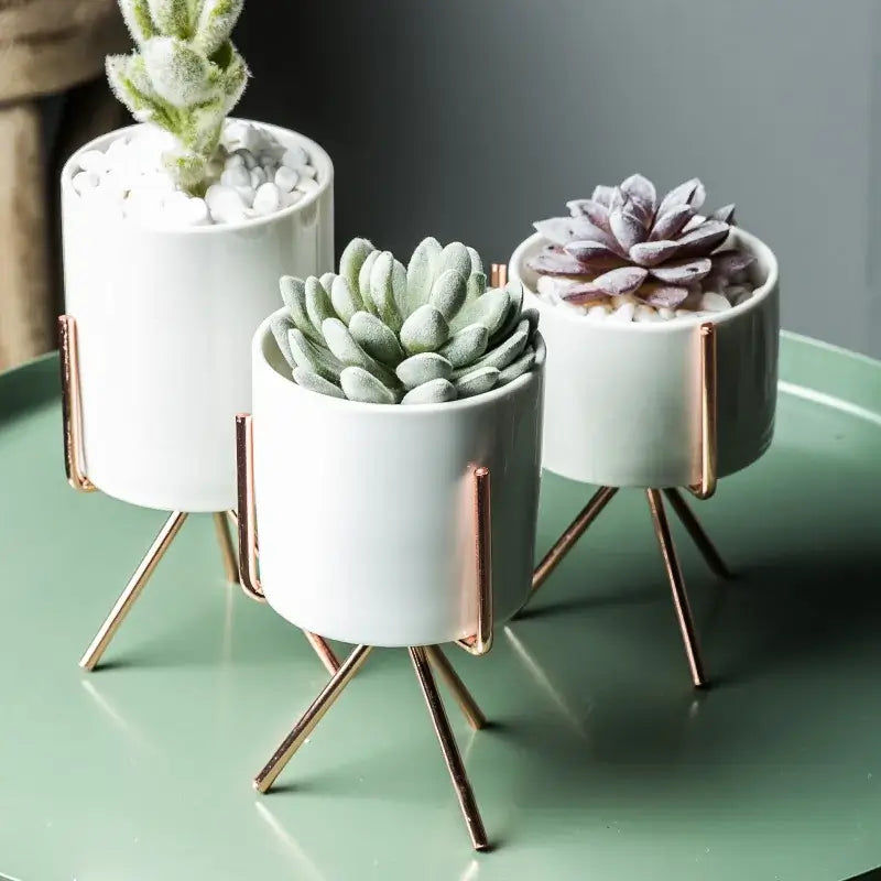 Nordic-inspired vase for home and office plant decoration