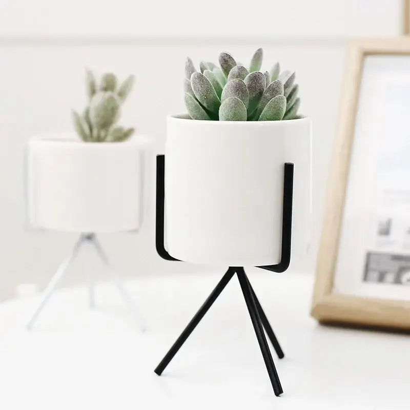 Nordic-inspired vase for home and office plant decoration