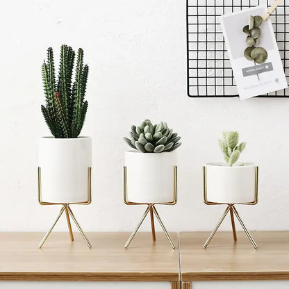 Nordic-inspired vase for home and office plant decoration